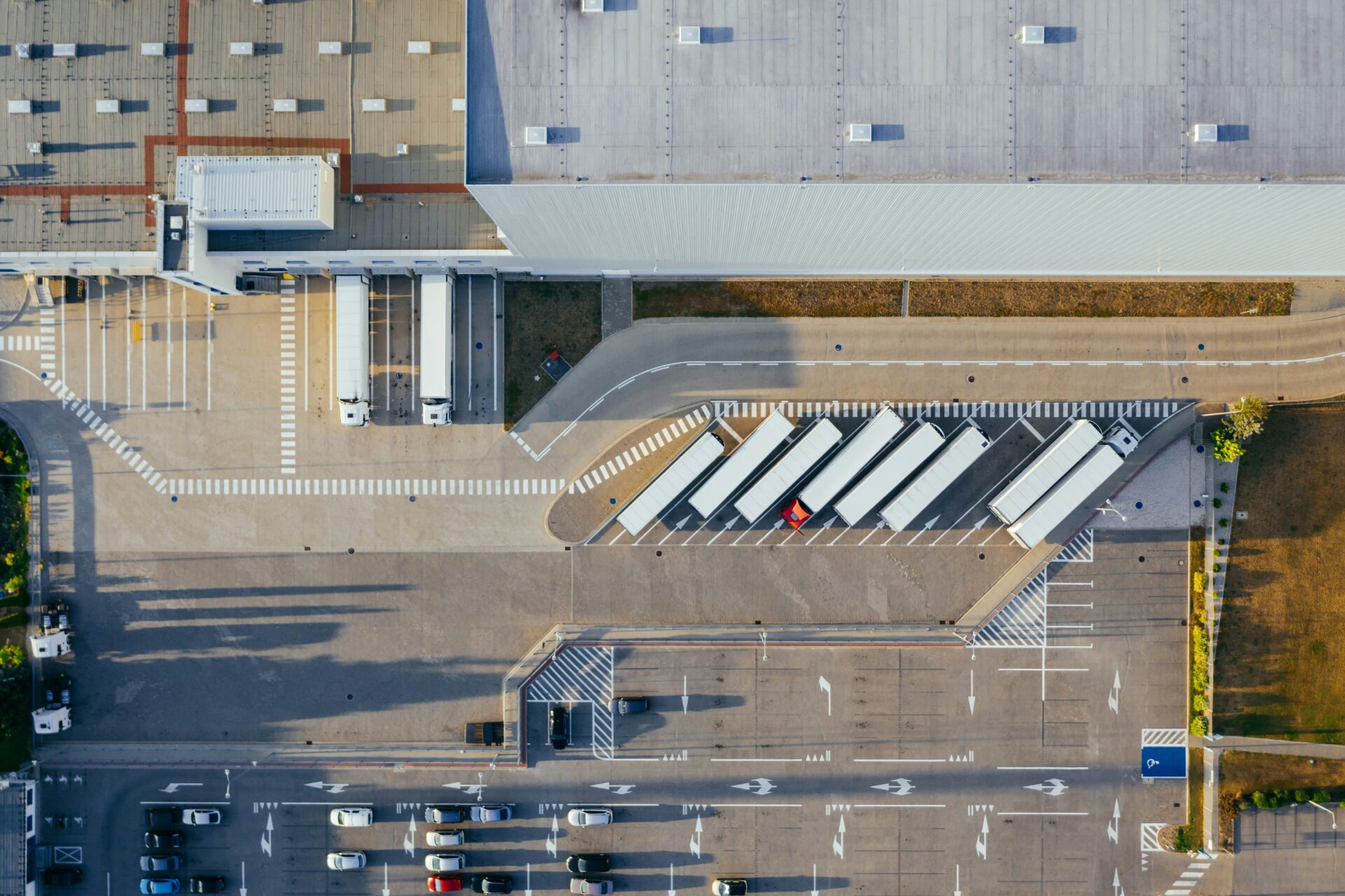 distribuzione e agenzia commerciale